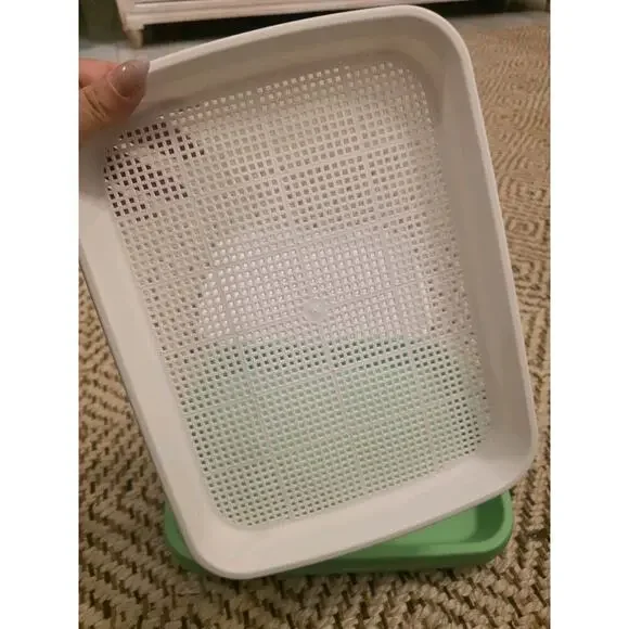 4 Pcs Seed Sprouter Tray with Drain Holes for Microgreens Growing Kit - Picture 10 of 16